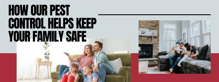 How Our Pest Control Helps Keep Your Family Safe