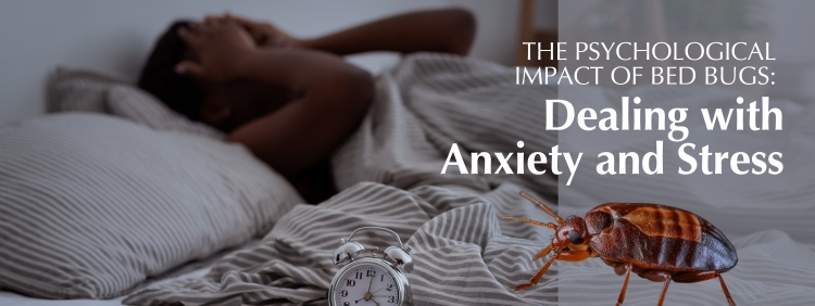 The Psychological Impact of Bed Bugs_ Dealing with Anxiety and Stress