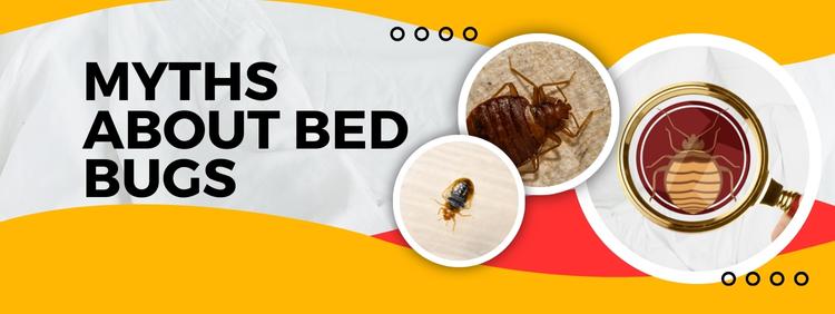 Top 5 Myths About Bed Bugs in Oakville_ Debunked by Experts
