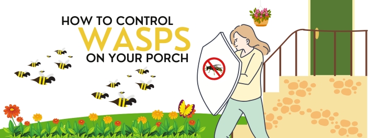 How to control wasps on your porch