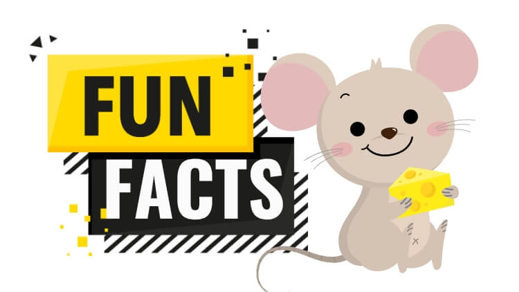 Fun Facts About Mice in Guelph_ What Makes These Tiny Creatures Fascinating