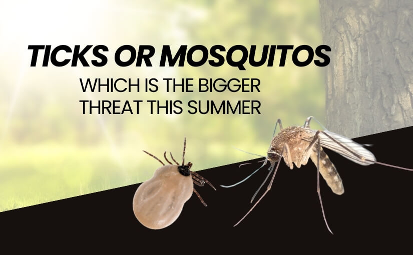 Ticks or Mosquitos