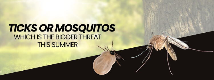 Ticks or Mosquitos
