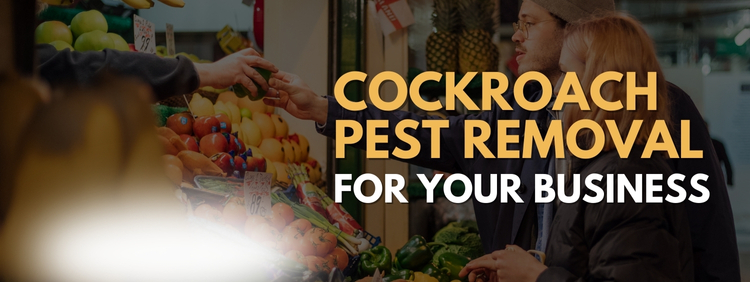 Cockroach Pest Removal Hamilton