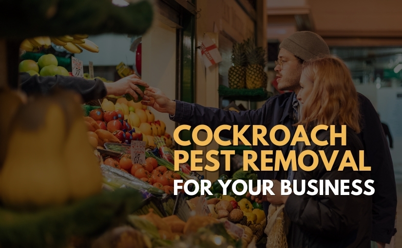 Cockroach Pest Removal Hamilton