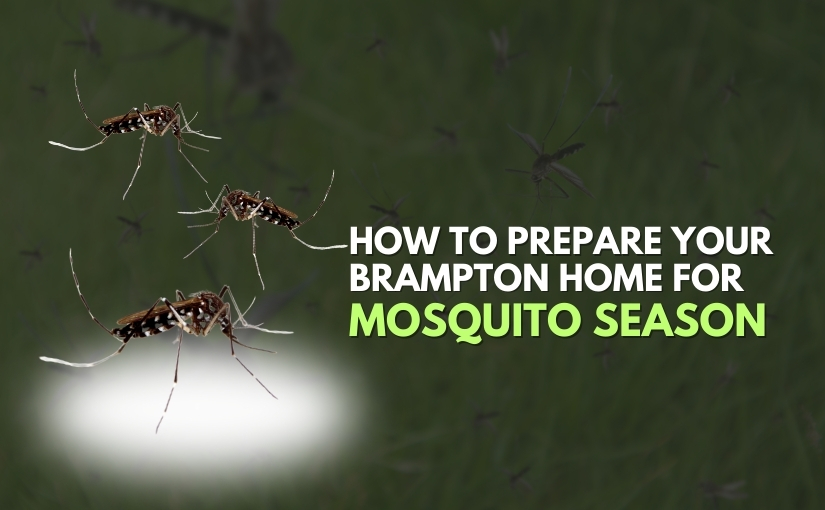 Mosquito Control Brampton