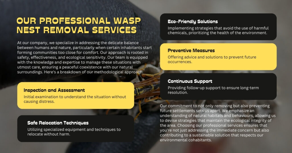 Wasps Removal