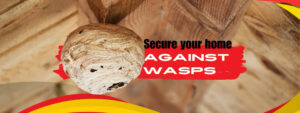 Wasp Removal Toronto