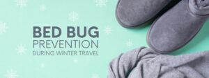 Bed Bug Control