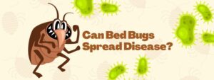 Can Bed Bugs Spread Disease Banner