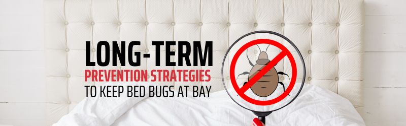 Long-Term Prevention Strategies to Keep Bed Bugs at Bay