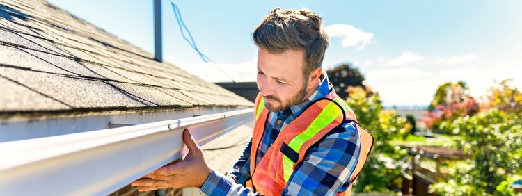 Preventing Pigeons Nesting - The Role of Maintenance and Cleanliness