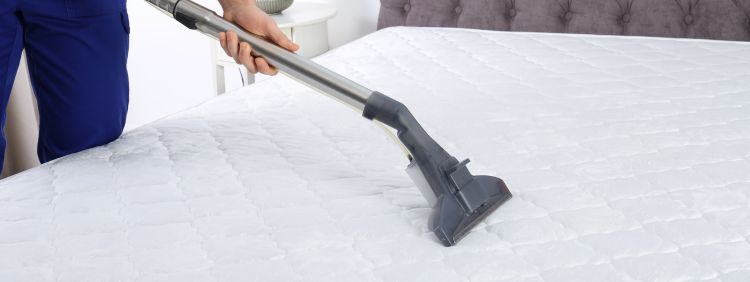 Do Bed Bugs Hibernate In Winter - Professional Pest Removal During Winter